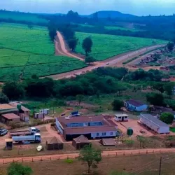 Chipinge Tea Estates - Chipinge