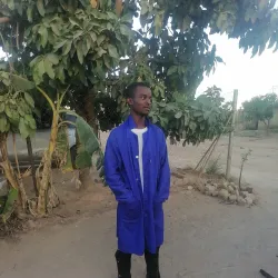 Chipinge Tea Estates - Chipinge