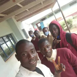 Chipinge Tea Estates - Chipinge