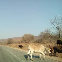 Mutare River - Chipinge