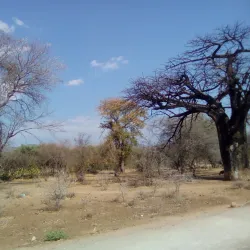 Nyanyadzi Falls - Chipinge