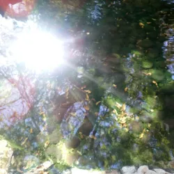 Nyanyadzi Falls - Chipinge