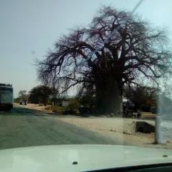 Nyanyadzi River - Chipinge