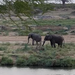 Chipinda Pools - Chiredzi
