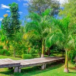 Chiredzi Botanical Gardens - Chiredzi