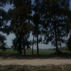 Chiredzi Golf Club - Chiredzi