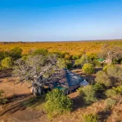 Gonarezhou National Park - Chiredzi