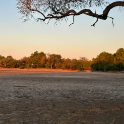 Gonarezhou National Park - Chiredzi