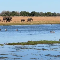 Gonarezhou National Park - Chiredzi