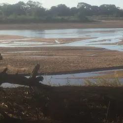 Save River - Chiredzi