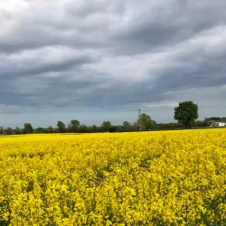 Agricultural Tours - Chirumanzu