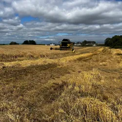 Agricultural Tours - Chirumanzu