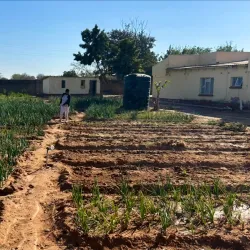 Local Markets - Chirumanzu