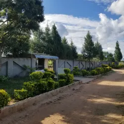 Local Markets - Chirumanzu