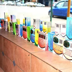 Traditional Healing and Herbal Medicine - Chirumanzu