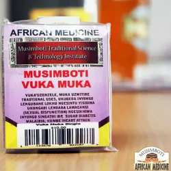 Traditional Healing and Herbal Medicine - Chirumanzu