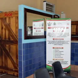 Traditional Healing and Herbal Medicine - Chirumanzu