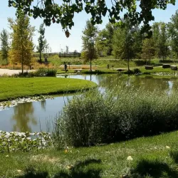 Chapungu Sculpture Park - Harare