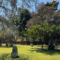 Chapungu Sculpture Park - Harare