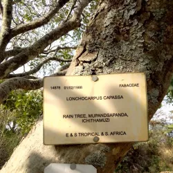 Harare Botanical Gardens - Harare