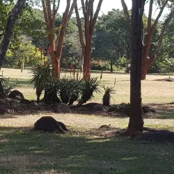 Harare Botanical Gardens - Harare