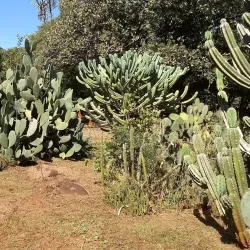 Harare Botanical Gardens - Harare