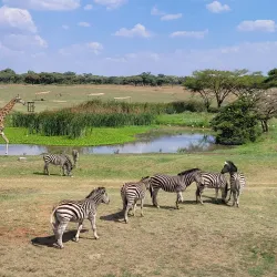 Mukuvisi Woodlands - Harare