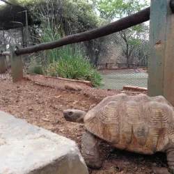 Mukuvisi Woodlands - Harare