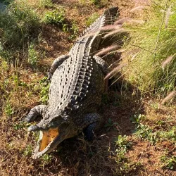 Mukuvisi Woodlands - Harare