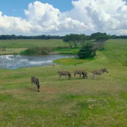 Mukuvisi Woodlands - Harare