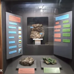 Zimbabwe Museum of Human Sciences - Harare