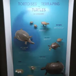 Zimbabwe Museum of Human Sciences - Harare