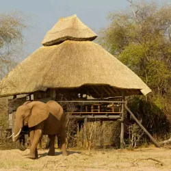 Chizarira National Park - Hwange