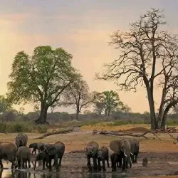 Chizarira National Park - Hwange
