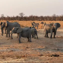 Deka Safari Camp - Hwange