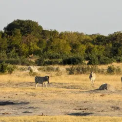Hwange National Park Museum - Hwange