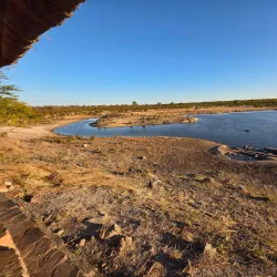 Hwange National Park - Hwange