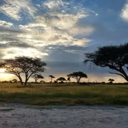 Hwange National Park - Hwange