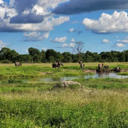 Hwange National Park - Hwange