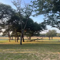 Hwange Safari Lodge - Hwange