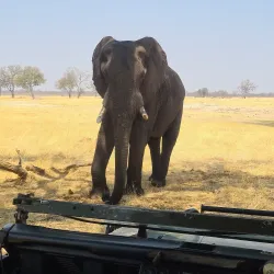 Hwange Safari Lodge - Hwange