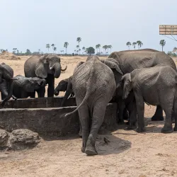 Hwange Waterholes - Hwange