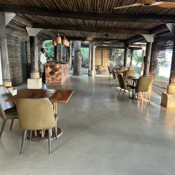 Matetsi Safari Area - Hwange