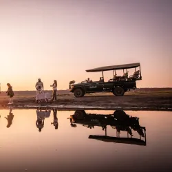 Matetsi Safari Area - Hwange