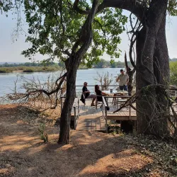 Matetsi Safari Area - Hwange