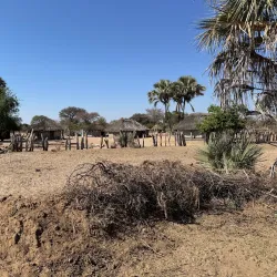 Ngamo Forest - Hwange