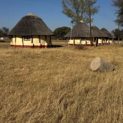 Ngamo Forest - Hwange