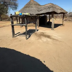 Ngamo Forest - Hwange