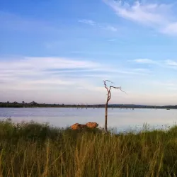 Sinamatella Camp - Hwange