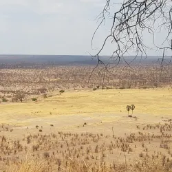 Sinamatella Camp - Hwange
